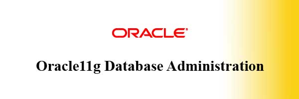 Oracle11g DBA