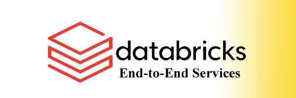 Databricks End to End Services
