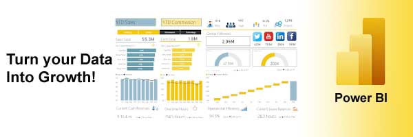 Power BI End to End Services